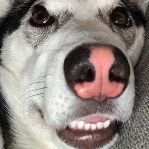 Meet your Posher, Sandyposh